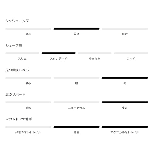 Men's Salomon X Ultra 4 Mid Gore-TX