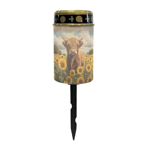 View 2