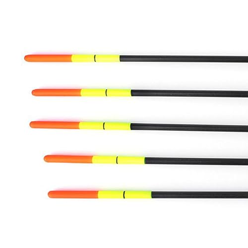 Tuwlopyu tBbVO{u - ue[`bvgEgt[g - 5Zbg AEghAނpi WCΐ쏬CrɑΉ,Nbs[ gEg ptBbV oXɑΉ