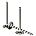 Wiseco VIT008 Premium Titanium Intake Valve