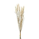 artplants