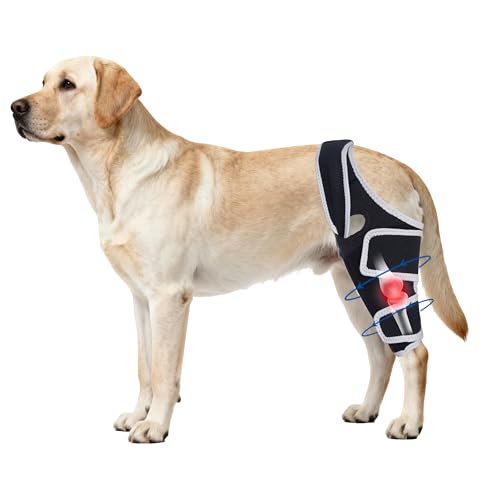 Moysoon Dog Knee Brace for Back Leg,Adjustable Leg Bracket for Support, Universal Dog Knee Use,(Size L).