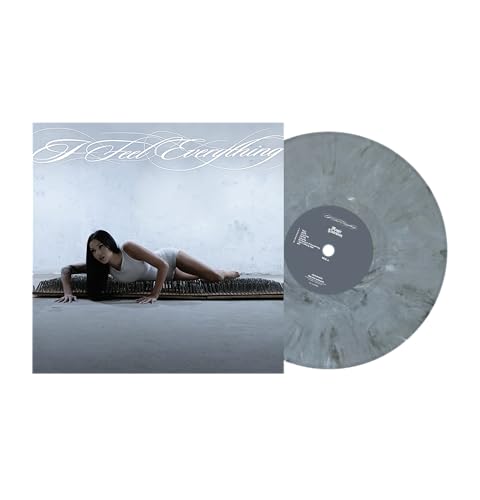 Pochette de I Feel Everything
