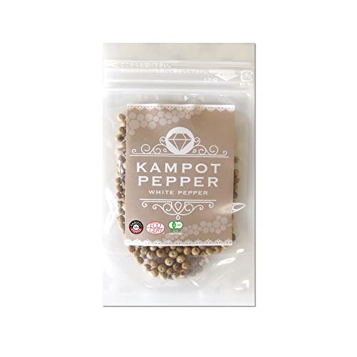 J|bgybp[ Ӟ 20g 1 䂤pPbgz