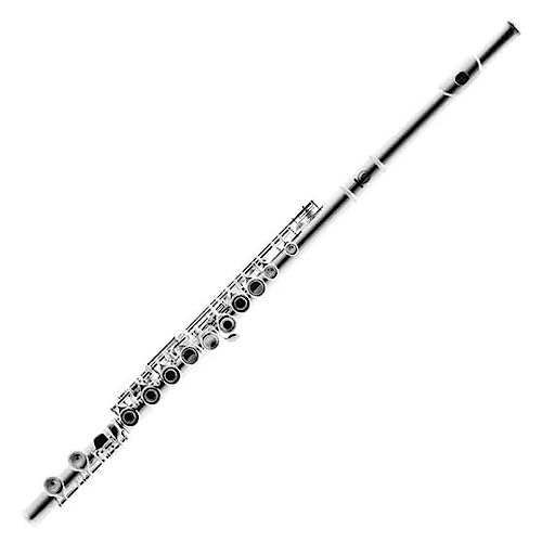 Flauta Transversal HARMONICS C HFL-5237S Prateada