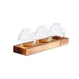 * Excellent cadeau : cet ensemble de vases de fleurs de décoration de jardin est également un choix de cadeau parfait pour la famille, les amis, les collègues, etc.
