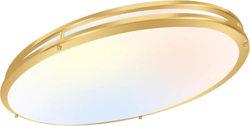 Image of hykolity 32 Inch Oval LED Ceiling Light,60W,4000LM,5CCT