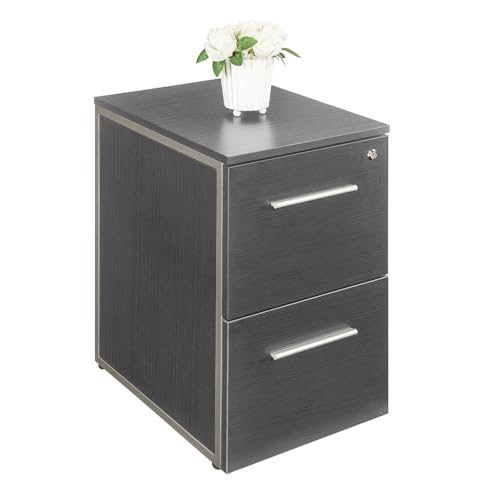 Nbf Signature Series AW-FF2026ES At Work Two Drawer File Pedestal 26.46 Inch H Gray Laminate cover