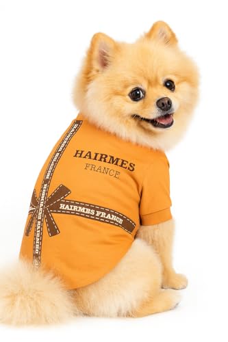 Luxury-Designer-Dog-T-Shirt--Trendy-Puppy-Clothes-for-Small-Dogs-Fashion-Pet-Tee-for-French-Bulldogs-Chihuahuas-Everything-Chic-Dog-Apparel Luxury Designer Dog T Shirt – Trendy Puppy Clothes for Small Dogs, Fashion Pet Tee for French Bulldogs & Chihuahuas, Everything Chic Dog Apparel - Image 1