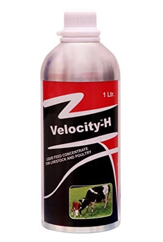 Pharma Velocity-H Veterinary feed Supplement for Cow Cattle Poultry & Livestock Animals 1 liter (Pack of 1) (B0B7S1LGM1) Amazon Price History, Amazon Price Tracker