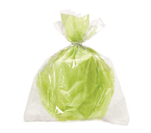 Clear Large Cellophane Bags - 20