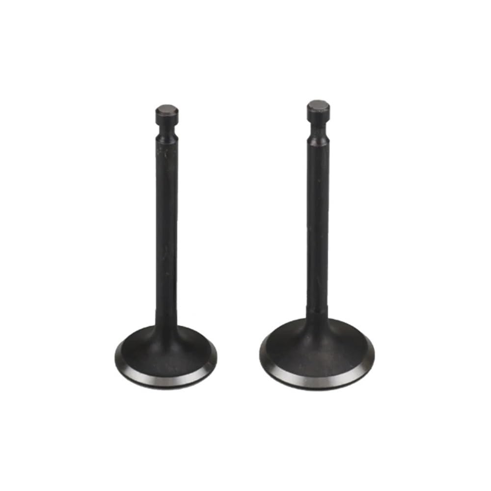 Itrvcay One Color Valve Intake & Valve Set Fit For Ex40 Engine Generator Inlet Outlet Intake