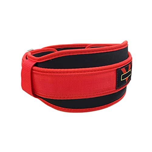 obNveN^[xg咰qbvu[Xɏƒj - xgɘa_oArƐ卜AŁAՂƔw̃T|[g - Si ֐ߋ@\sSobNu[X (Color : Red/228) (Color : Red, Size : (C)L)