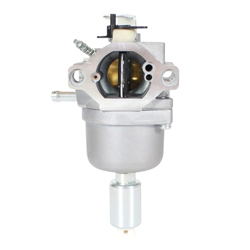 Carburateur 792036 solution pour résoudre le ralenti instable du 33R877