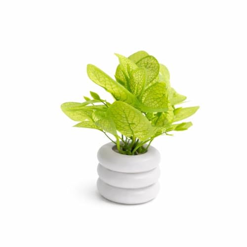 Image of Artificial Mini Potted Plant with Modern White Ceramic Zen Pot - Faux Greenery for Home Decor, Office Desk, Kitchen & Bedside - Realistic Lifelike Leaves, Small Decorative Indoor Plant for Gifting