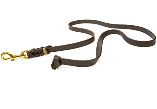 Hundeleine Leder 2m kleine Hunde – Fettlederleine [ohne Handschlaufe] Lederleine Hund geflochten leicht – Führleine & Trainingsleine aus robustem Rindsleder, Messingkarabiner, Dog Leash 10mm, Braun