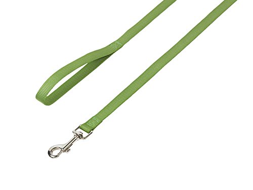 Nobby Leine Classic, Mint L: 120 cm, B: 15 mm, 1 Stück