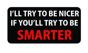 3pcs I'll Try to Be Nicer If You'll Try to Be Smarter Funny Hard Hat/Helmet Stickers