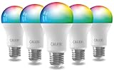 CALEX