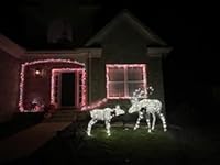 Review Image by Squirrel 737 Squirrel 737