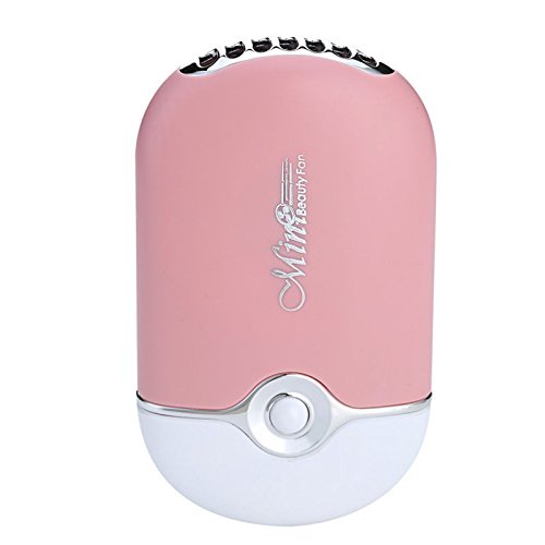 Baisidai Pink USB Mini Fan Air Conditioning Blower for Eyelash Extension (Pink)