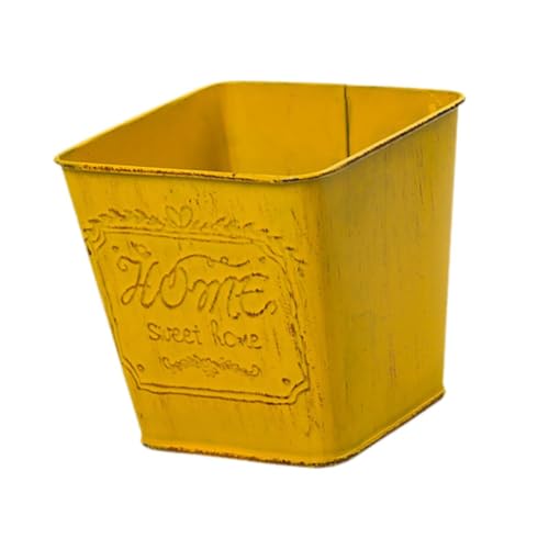Gralara Contenedor de Hierro para Plantas, Adorno de Interior, florero, Maceta para Escritorio y Mesa, Cuadrado Amarillo