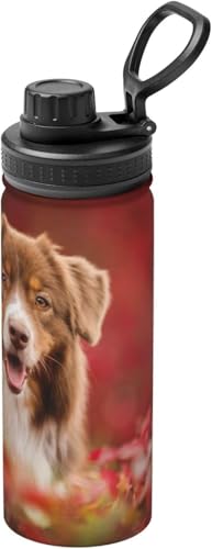 �I�[�X�g�����A�� �V�F�p�[�h �W�t�� �R���r�j�J�b�v ���� ���@�r �X�e�����X�� ��d�\�� �ۉ� �ۗ� �ԍڃJ�b�v �g�� ������530ml �j�̎q ���̎q ������� ��l �q�� �v���[���g