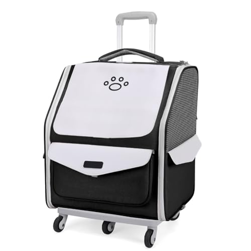 ybg bN LX^[t  E^L y 킢 ܂肽 ʋC  L L[obO J[g Lknht L bN t@Xi[bN@\ ybgL[ L e LsO/s/ʉ@/ЊQp (ubN,