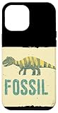 Fossil Outfit