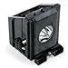 FI Lamps for BP96-00826A - Lamp with Housing for Samsung HLR6167W, HLR5667W, HLR4667W, HLP6163W, HLR5067W TV