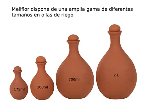 Pot d'arrosage 175 ml contre le dessèchement de la terre des fleurs x2