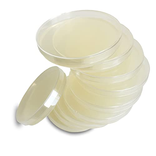 Nutrient Agar Plates By Evviva Sciences, Prepoured Nutrient Agar Petri Dishes For Science Fair Projects & Microbiology Experiment, Helps Microorganisms Thrive - Swabs Not Included #TOP5