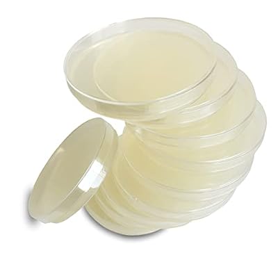Nutrient Agar Plates by Evviva Sciences, Prepoured Nutrient Agar Petri Dishes for Science Fair Projects & Microbiology Experiment, Helps Microorganisms Thrive - Swabs Not Included