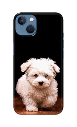 Image of Printed Hard Back Cover Case for Apple iPhone 13 Back Cover (Puppy Dog) -203