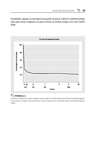 Neurociência e educação: Como o cérebro aprende