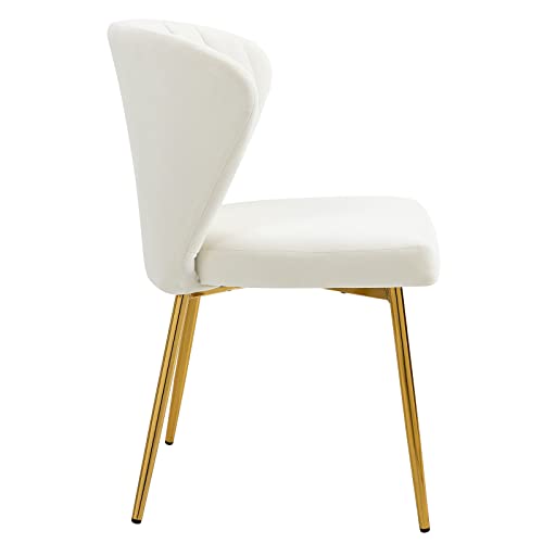 Anour Modern Dining Chairs, Velvet Accent Chair, Living Room Chairs, Set Of 2, Upholstered Side Chair With Golden Metal Legs For Dining Room Kitchen Vanity Patio (White, 2 Pack) #TOP5