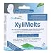 Produktbild ORACOAT XyliMelts Hafttabletten ohne Minze
