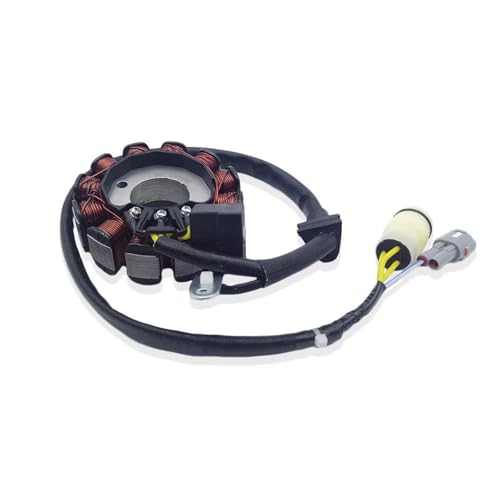 �_�΃R�C�� �o�C�N �̂��߂� WRX300NC WRX450NC WRX250NC XT250NC ST XT300 ST FA/NC XT450NC �w�r�[�f���[�e�B�I�[�g�o�C���o�̓X�e�[�^���C�R�C�� �X�e�[�^ �W�F�l��