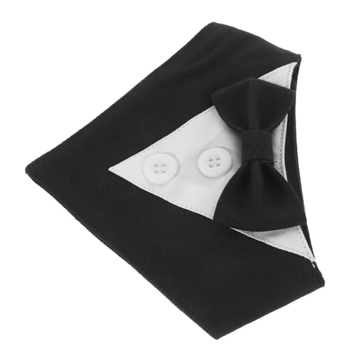 DECOMELODY pEFfBOXJ[t ֕t F {EfUC ȃybglbNEFA p[eB[ʂȓ̑p