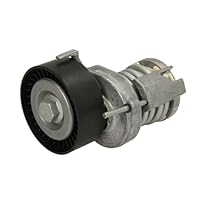 SKF Spannrolle, Keilrippenriemen