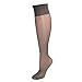 Hanes Womens Plus Size Nylon Sheer Knee High Socks (Pack of 4)