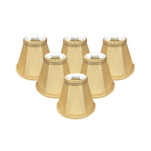 Royal Designs, Inc. CS-103AGL-6 fB[vGpCAVfAvVF[hA2.5 x 5 x 4.25AAeB[NS[hA6pbN