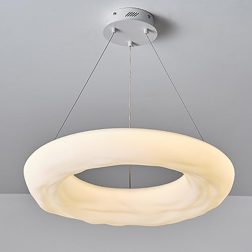 Suspension LED circulaire design moderne en acrylique 1 anneau variable