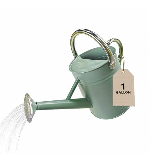 Watering Can for Outdoor&Indoor Plantsï¼Œ1 Gallon Metal Watering Can with with Removable Spoutï¼ŒGalvanized Steel Garden Flower Water Can Plant Watering Pot with 2 Stainless Steel Handlesï¼ŒCream Green