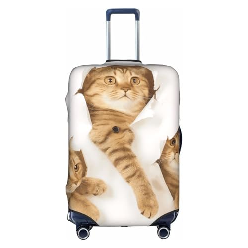 [zhandiffy] lR L L AjLkX[cP[XJo[ Lkhh~sJo[ L