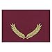 Hayes Gold Foil Stamped Maroon Certificate Folders, Pack of 30 (H-Va344)