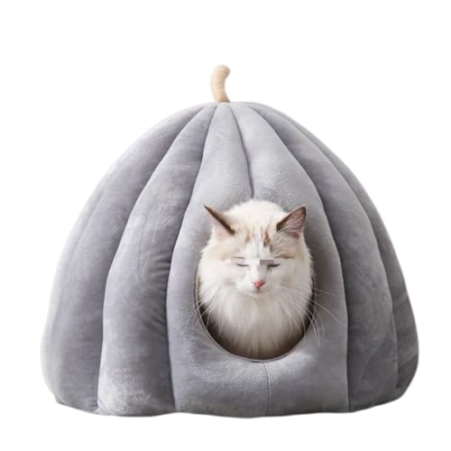 ZMBJ ����������l�R����񂪗��������h�[���^�̃y�b�g�n�E�X �y�b�g �n�E�X �y�b�g�x�b�h �C�Y �� �L �h�[���^ ���킢�� ����@ ������� �����p ����~�� �~ �H ������ �C�k �l�R �h�� �y�b�g�n�E�X �����΍� (M,�O���[)