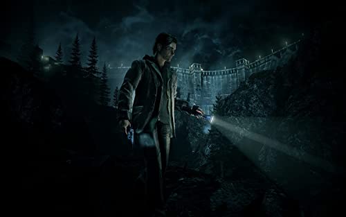 Alan Wake Pc - vue 4
