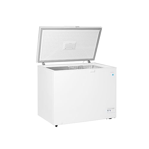 commercial freezer 2026 33