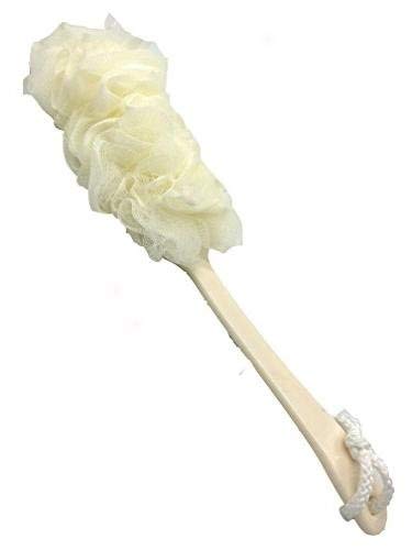 gannbarou {fBuV wuV  Cp Aălbg {fB􂢖Al ~ߓt 3F (x[W)